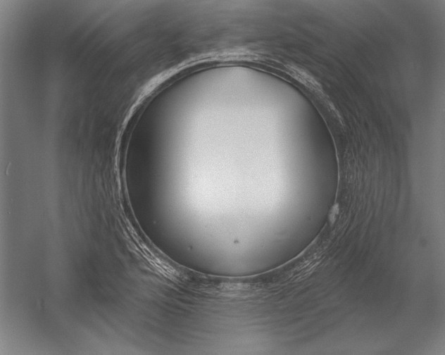 X0000056351176200509091548