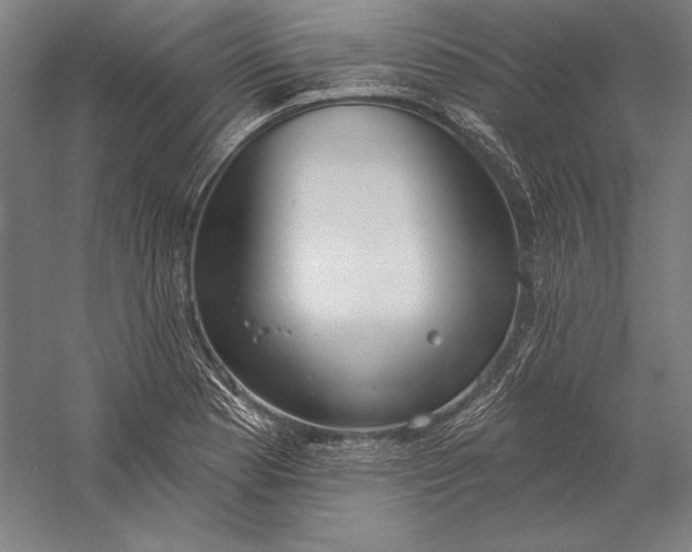 X0000056351177200509091548