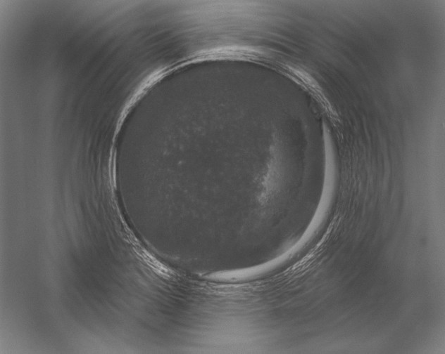 X0000056351180200509091548