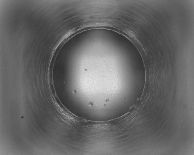 X0000056351181200509091548