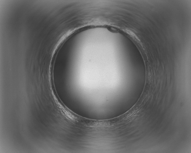 X0000056351183200509091548