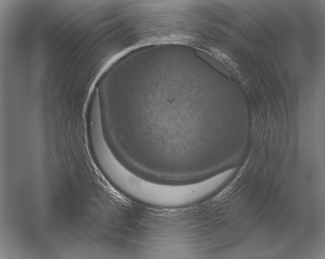 X0000056351184200509091548