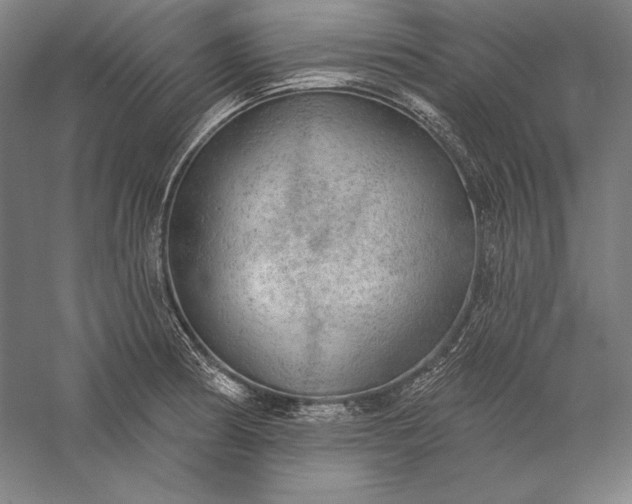 X0000056351186200509091548