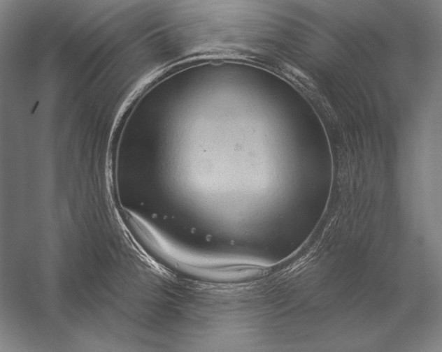 X0000056351188200509091548