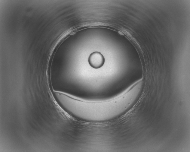 X0000056351189200509091548