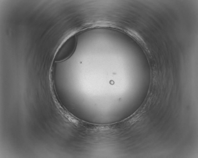 X0000056351190200509091548