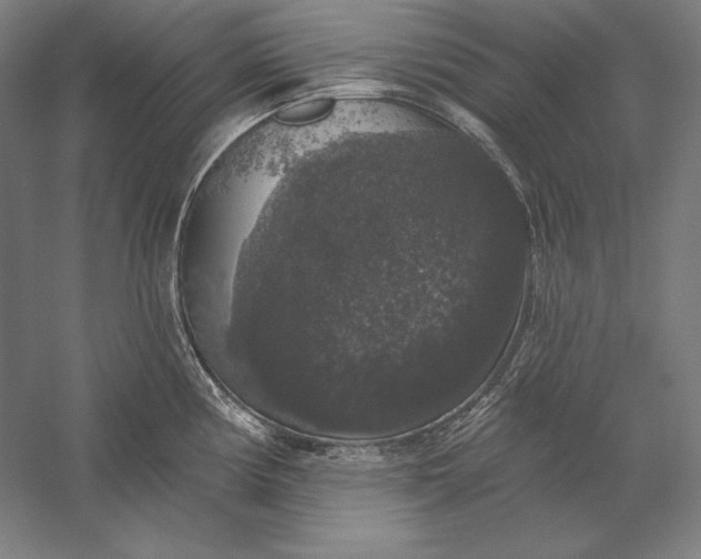 X0000056351194200509091548