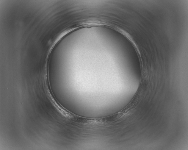 X0000056351195200509091548