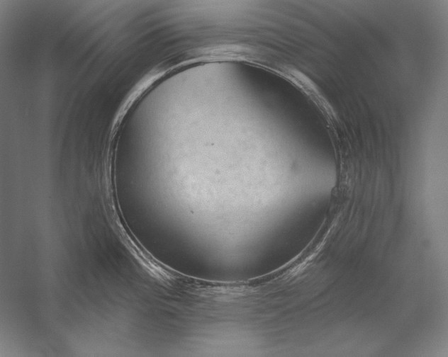 X0000056351196200509091548