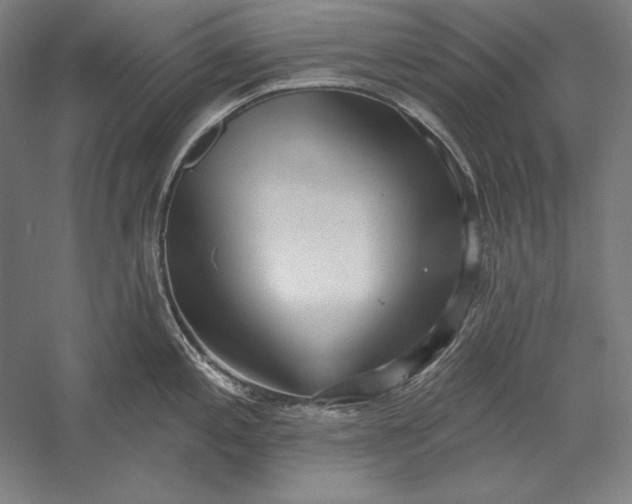 X0000056351197200509091548