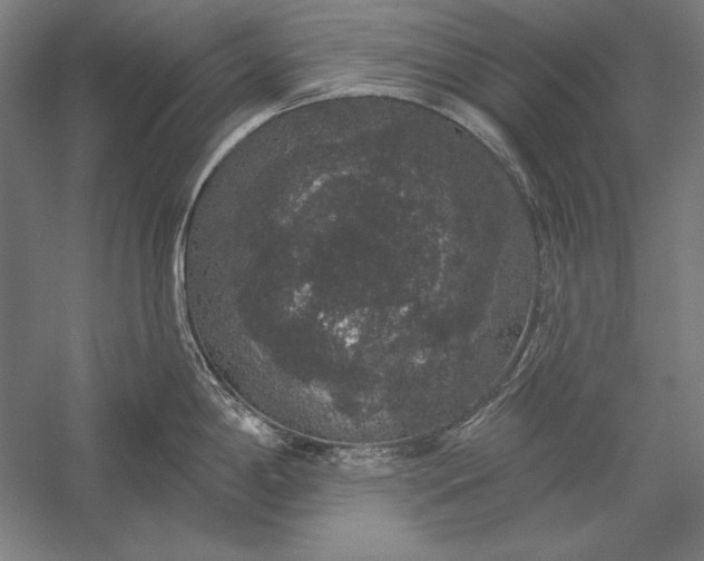 X0000056351198200509091548