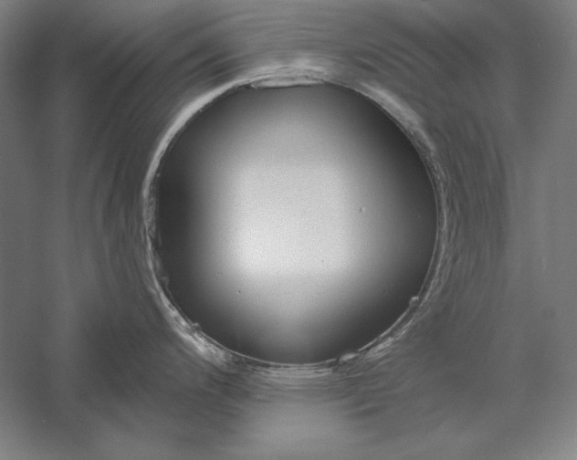 X0000056351200200509091548