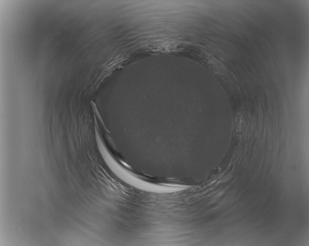 X0000056351202200509091547