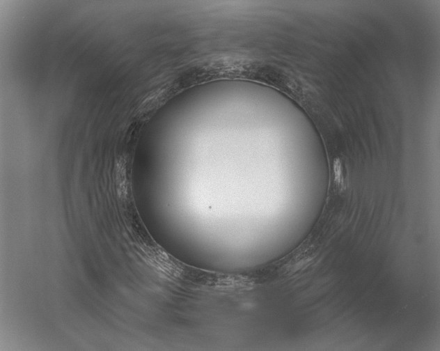 X0000056351203200509091547