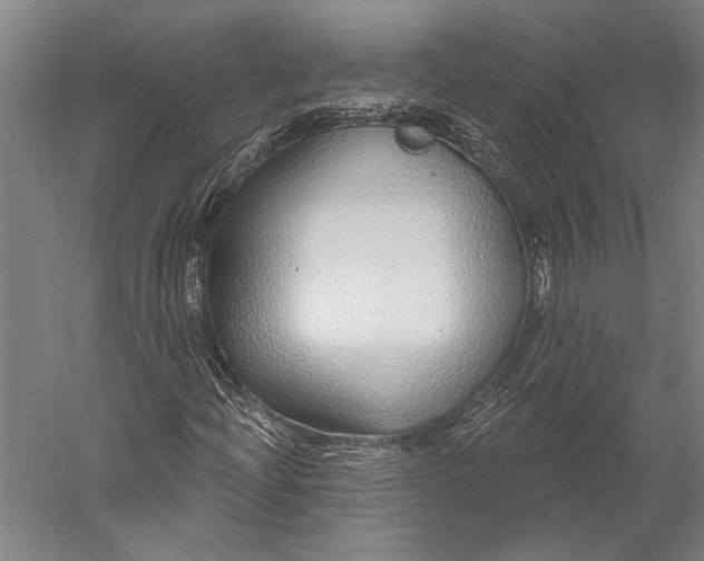 X0000056351204200509091547