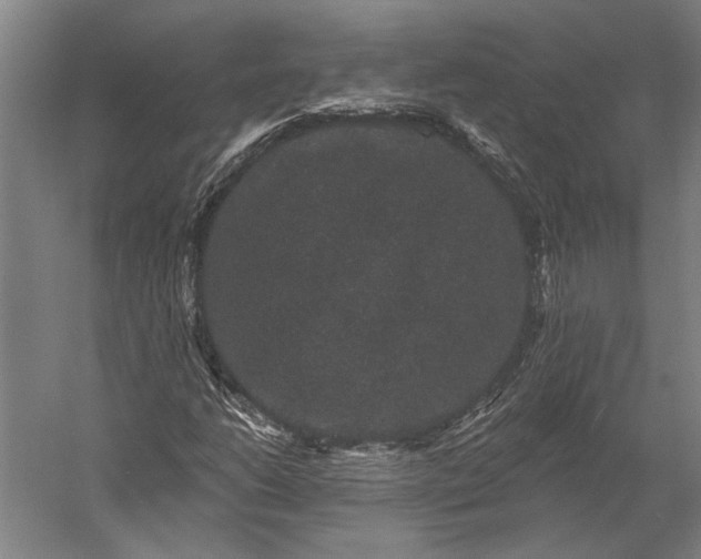 X0000056351206200509091547