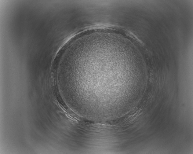 X0000056351208200509091547