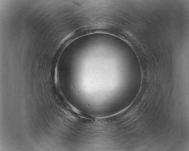 X0000056351210200509091547