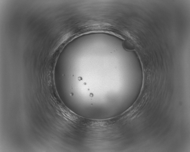 X0000056351211200509091547