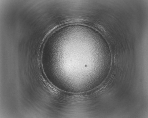 X0000056351212200509091547