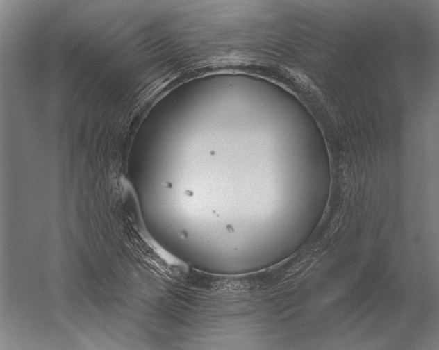 X0000056351217200509091547