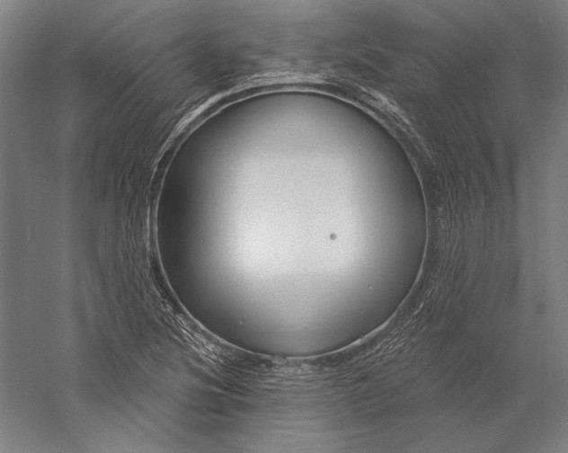 X0000056351220200509091547