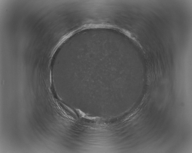 X0000056351221200509091547