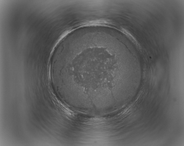 X0000056351224200509091548