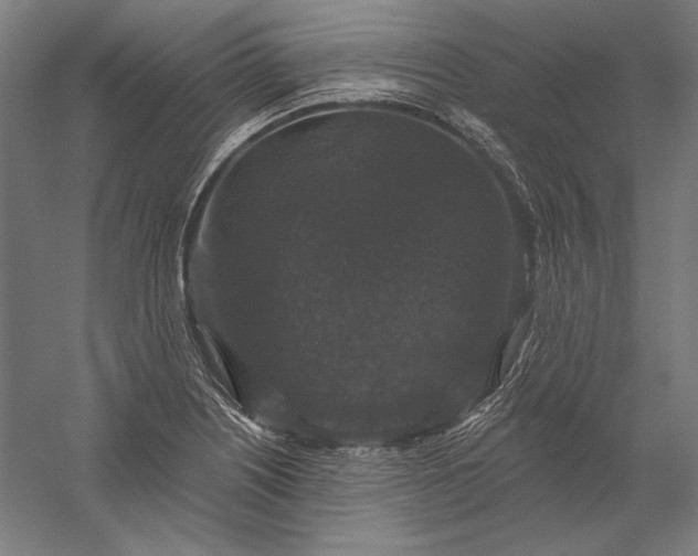 X0000056351226200509091548