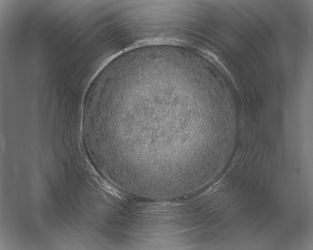 X0000056351228200509091548