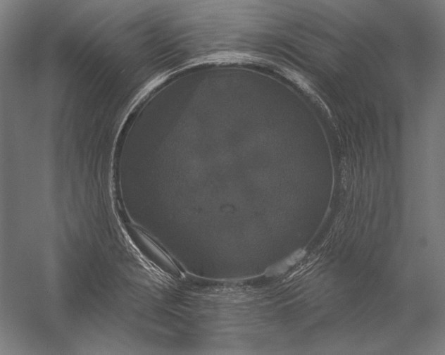 X0000056351229200509091548