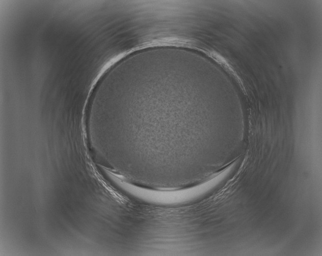 X0000056351230200509091548