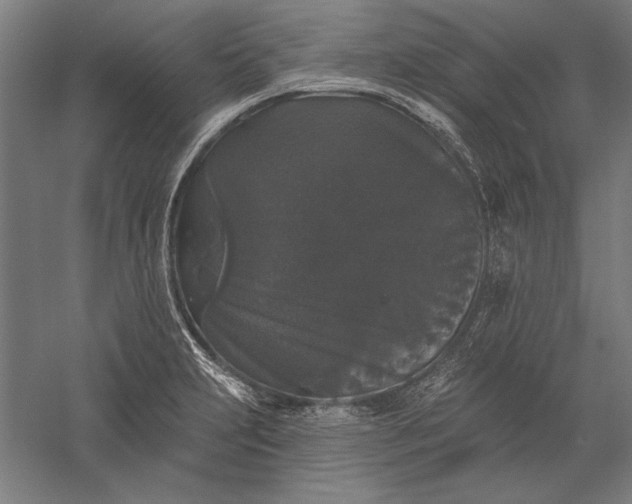 X0000056351231200509091548