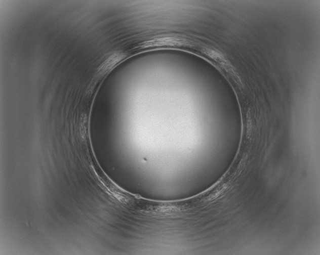 X0000056351233200509091548