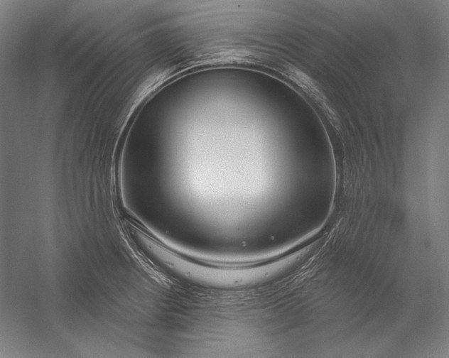 X0000056351234200509091548