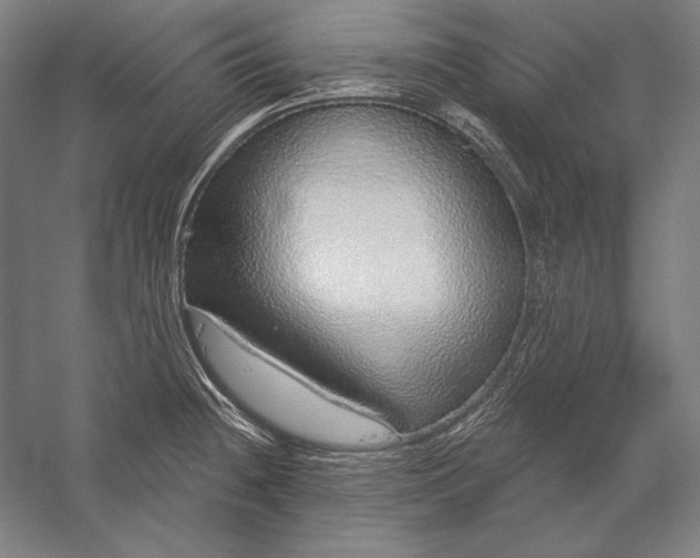 X0000056351236200509091548