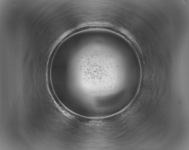 X0000056351237200509091548