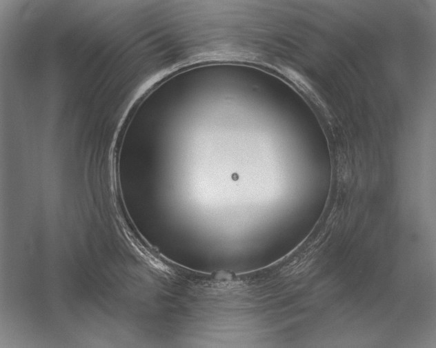 X0000056351238200509091548