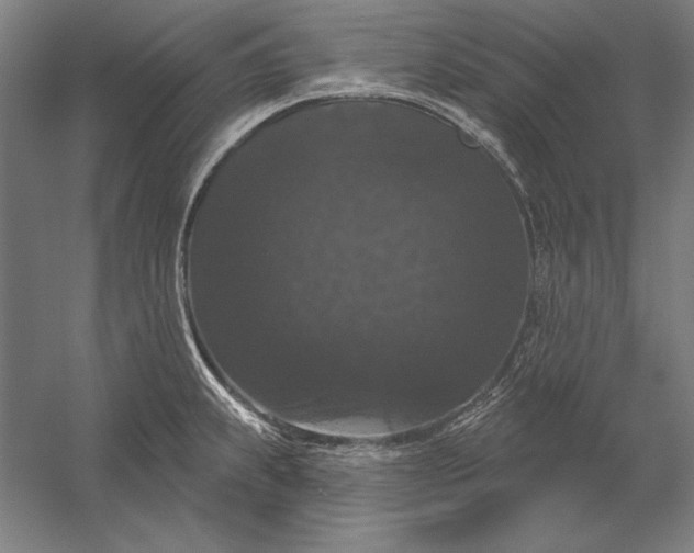 X0000056351239200509091548