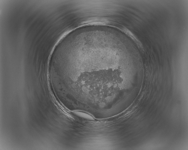 X0000056351240200509091548