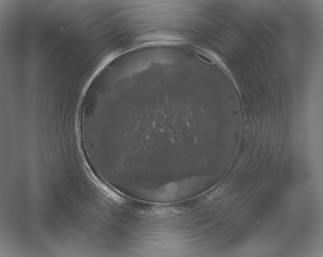 X0000056351243200509091548