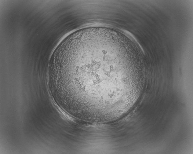 X0000056351244200509091548