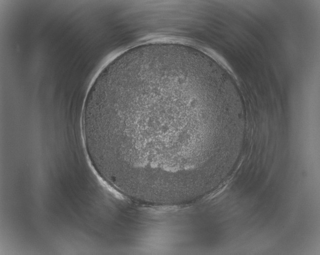 X0000056351247200509091548