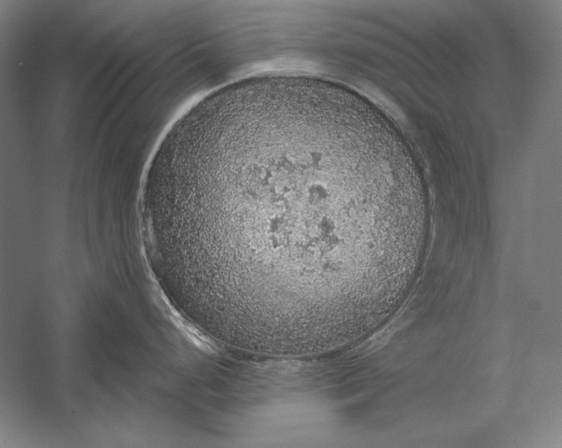 X0000056351248200509091548