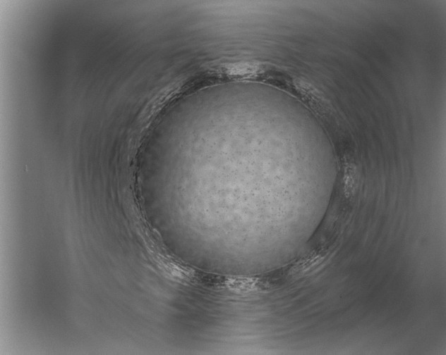 X0000056351249200509091547