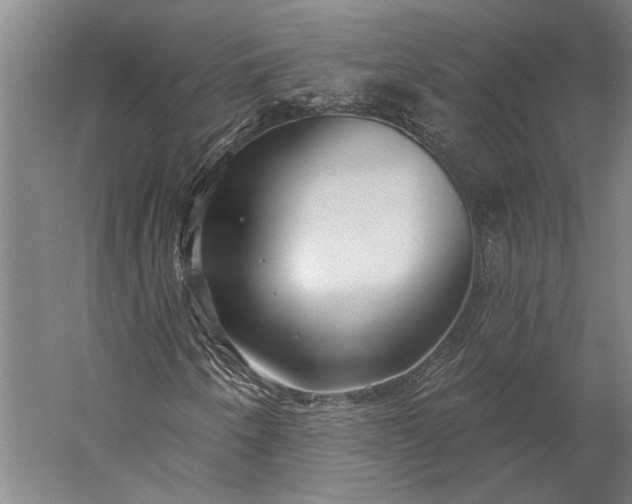 X0000056351250200509091547