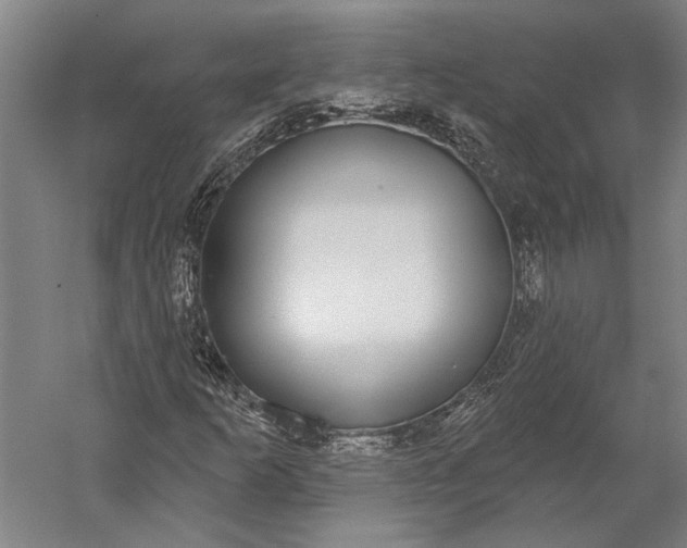 X0000056351253200509091547