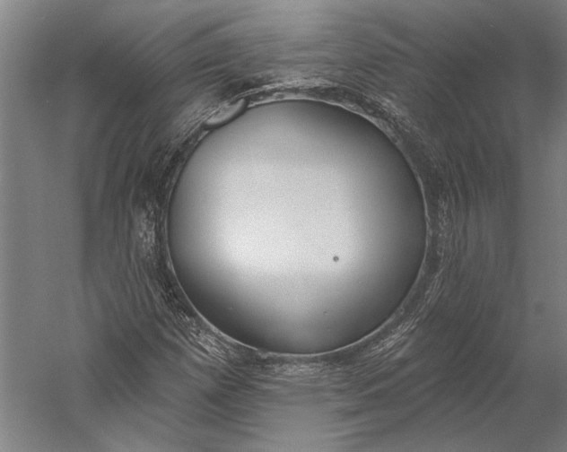 X0000056351257200509091547