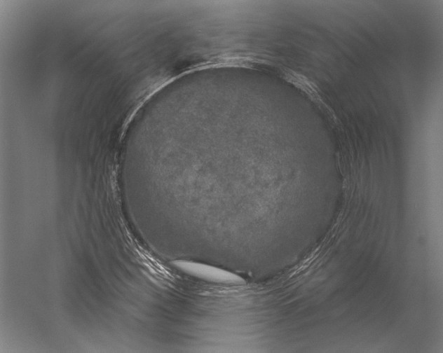 X0000056351260200509091547