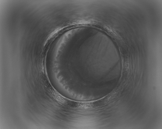 X0000056351262200509091547